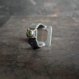 задняя часть кольца