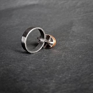 вид кольца сзади