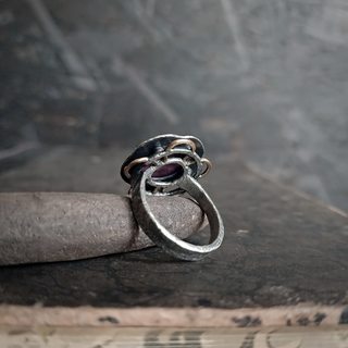 вид кольца сзади