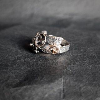 вид кольца сбоку