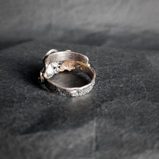 вид кольца сзади